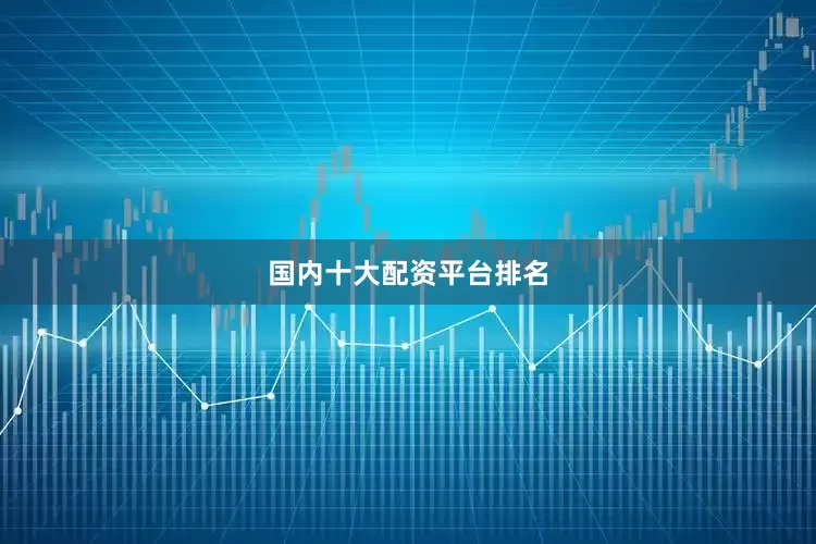 国内十大配资平台排名