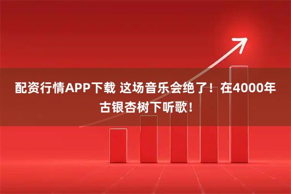 配资行情APP下载 这场音乐会绝了!在4000年古银杏树下听歌!