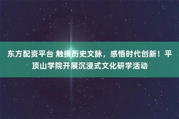 东方配资平台 触摸历史文脉，感悟时代创新！平顶山学院开展沉浸式文化研学活动