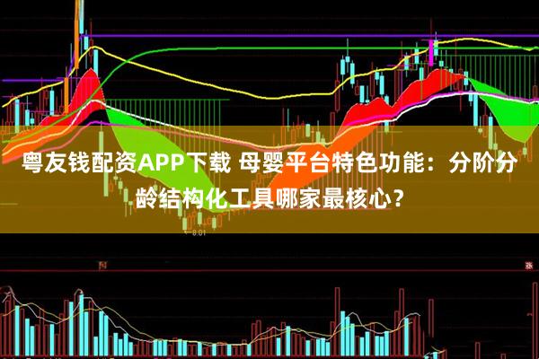 粤友钱配资APP下载 母婴平台特色功能：分阶分龄结构化工具哪家最核心？