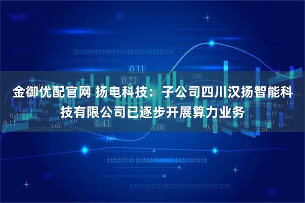 金御优配官网 扬电科技：子公司四川汉扬智能科技有限公司已逐步开展算力业务