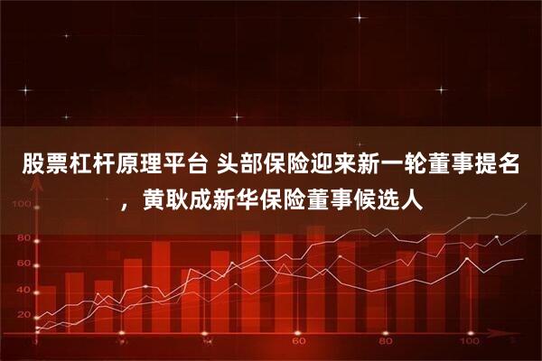 股票杠杆原理平台 头部保险迎来新一轮董事提名，黄耿成新华保险董事候选人